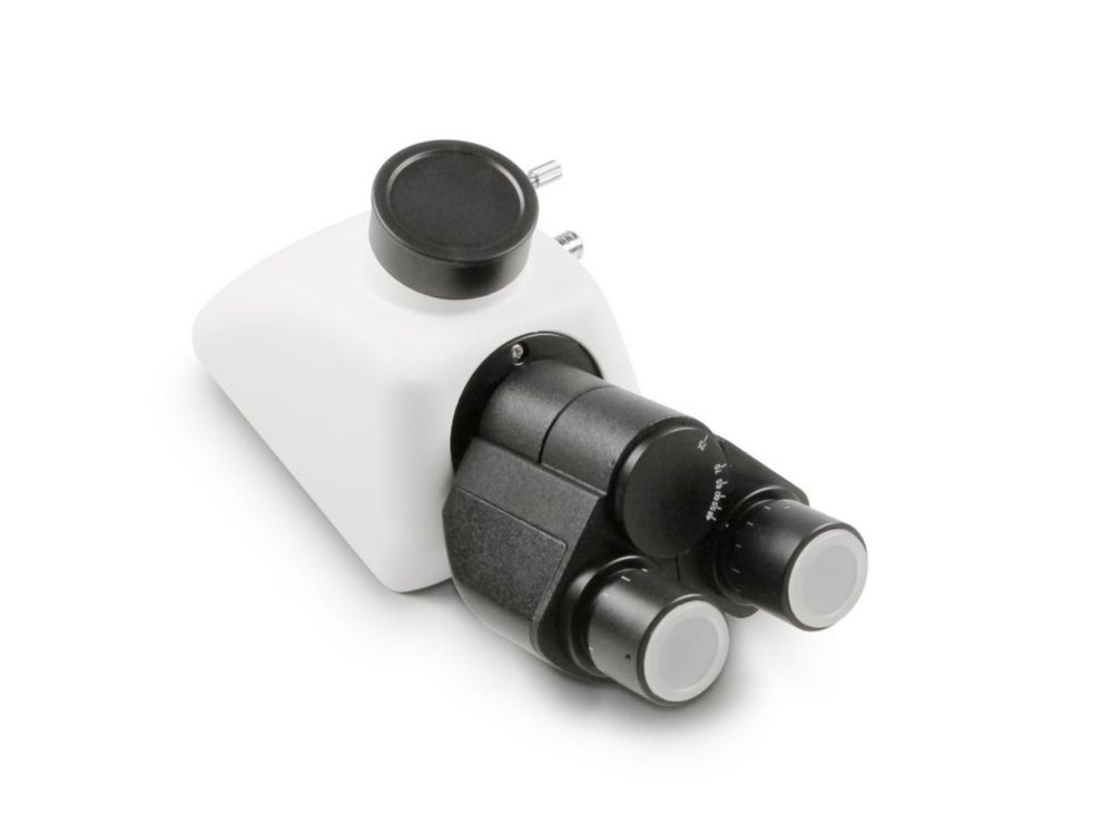 Tubus Trinokular. Siedentopf. Infinity