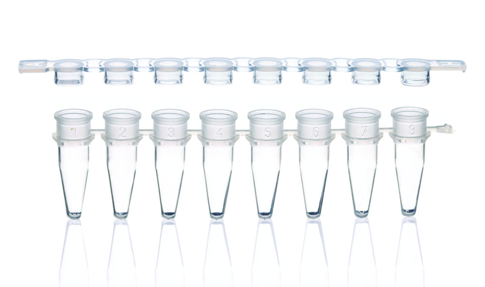 PCR-Gefäße 8er-Strips, PP, mit separatem Deckelstreifen
