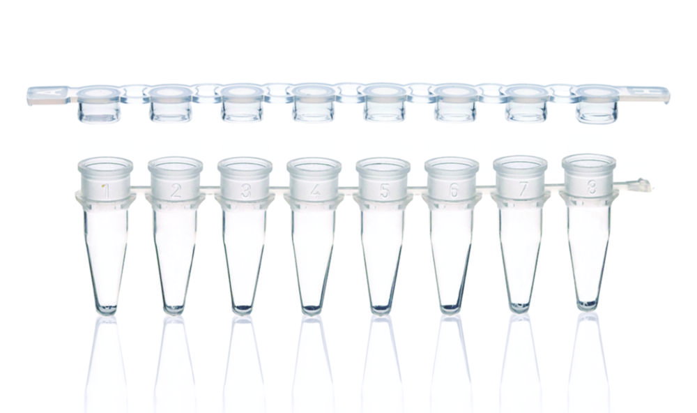 PCR-Gefäße 8er-Strips, PP, mit separatem Deckelstreifen