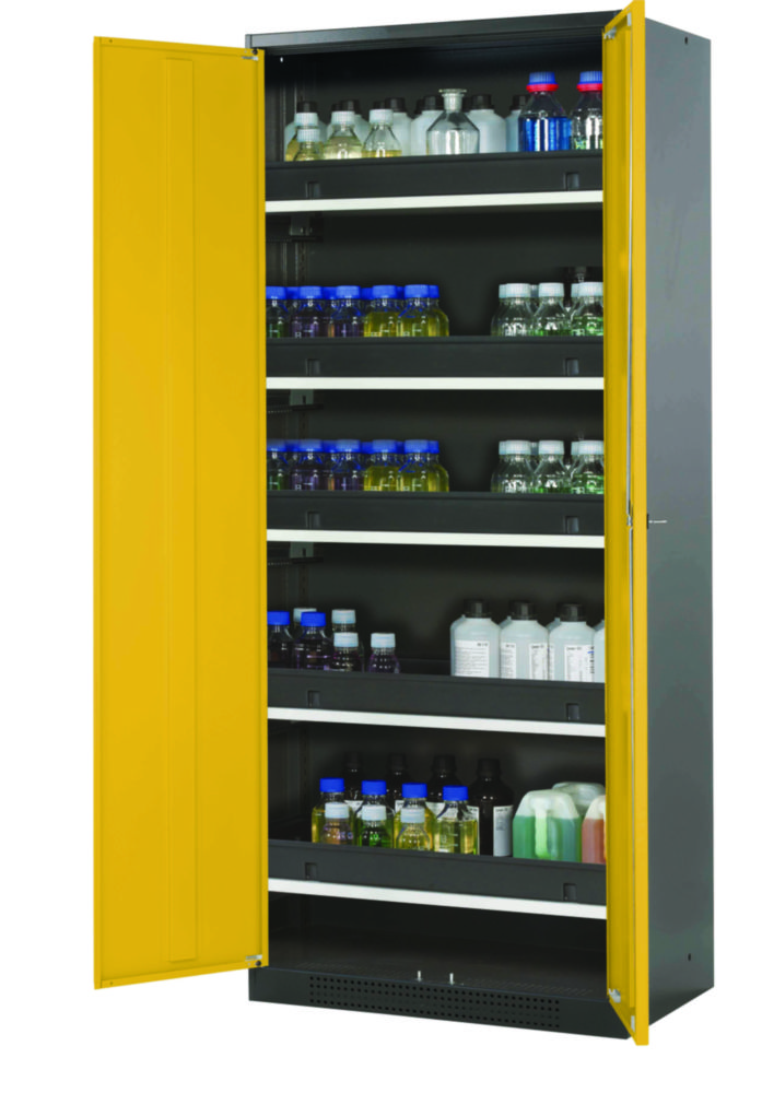 C-Schrank CS-Classic WD Korpus RAL7016, 810x520x1950mm Struktur Tür RAL 1004