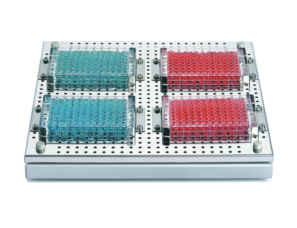 Halterung für eine Testplatte für Schütteltablare
