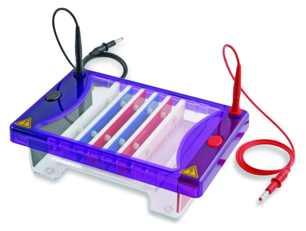 Elektrophoresekammer MultiSUB Choice Trio