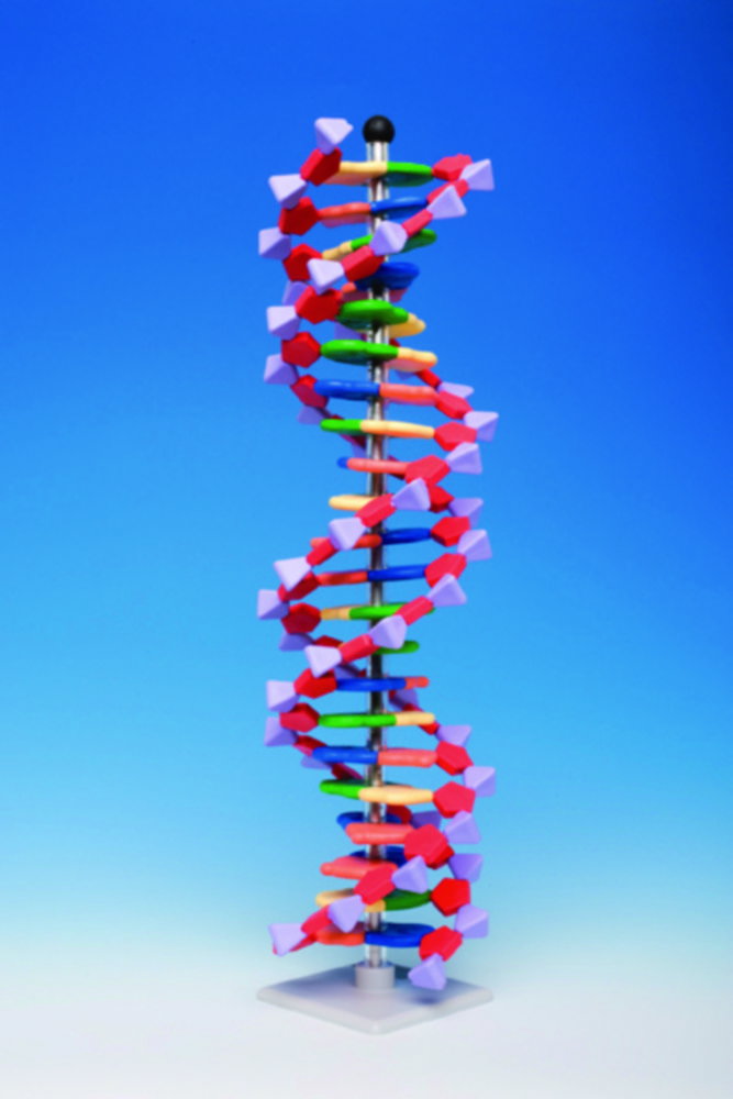 Molekülbaukastensystem miniDNA® / RNA Kits