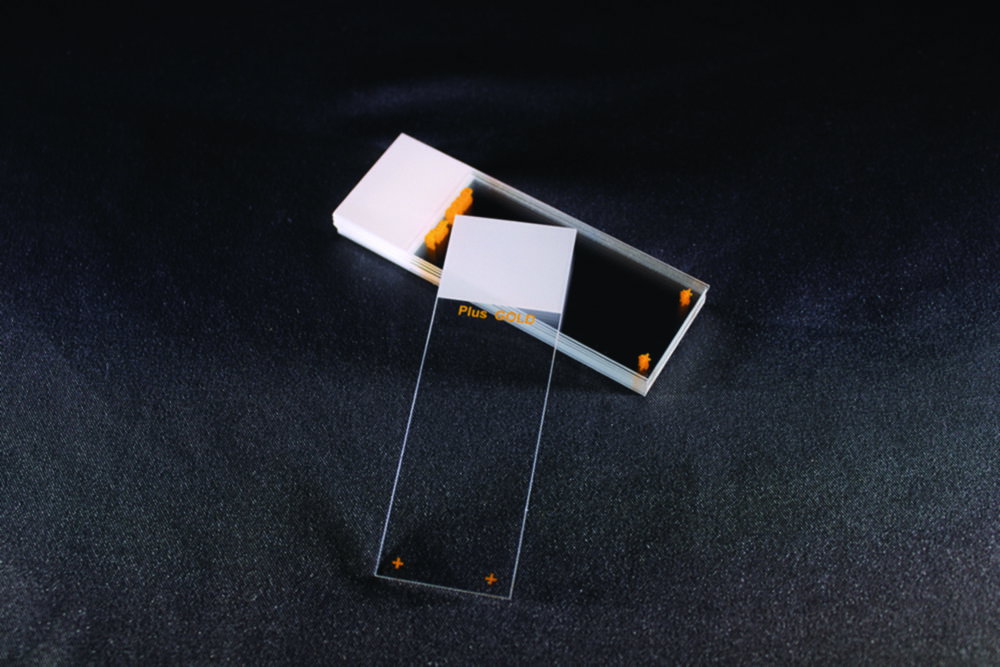 Adhäsionsobjektträger SuperFrost® Plus Gold