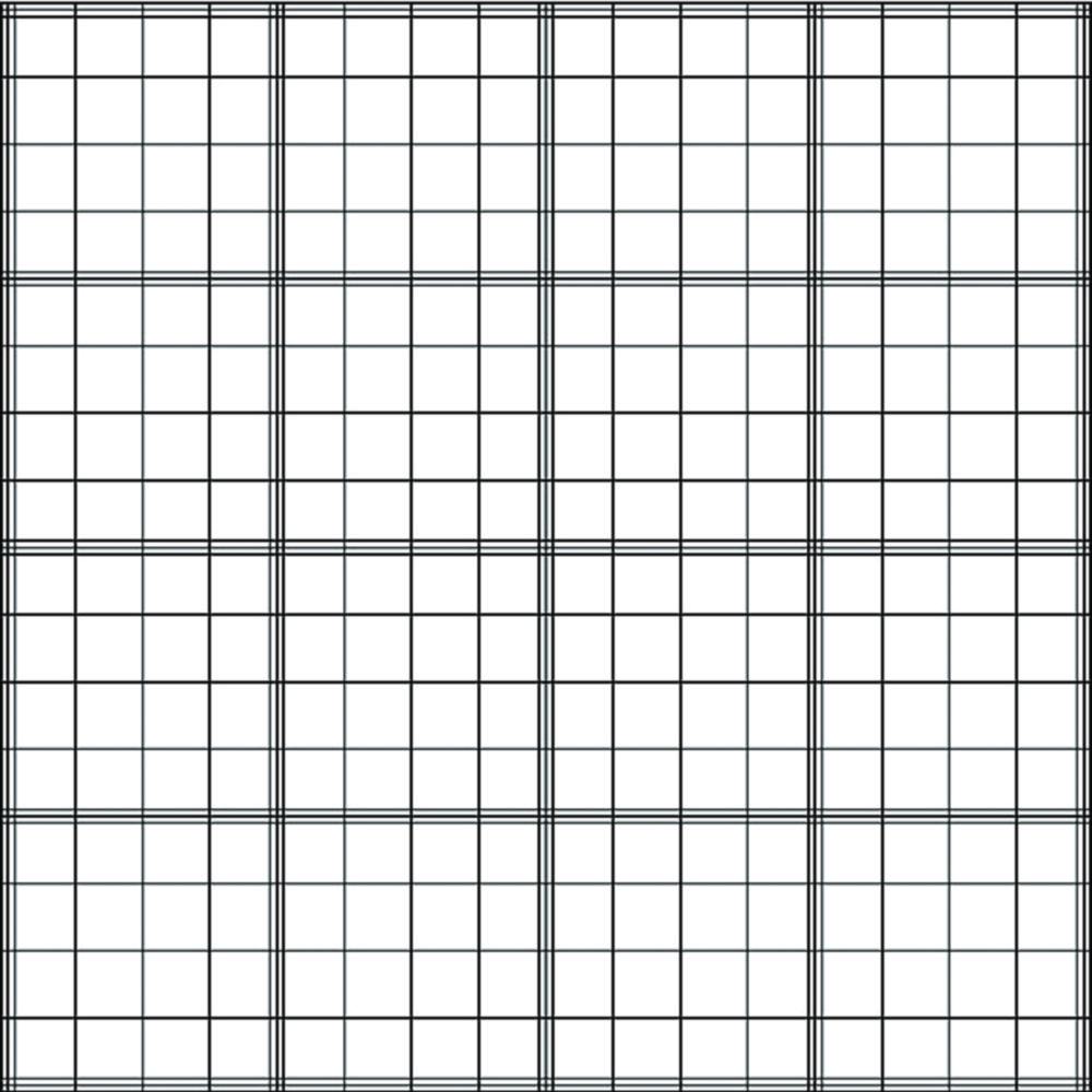 Zählkammer nach Fuchs-Rosenthal
