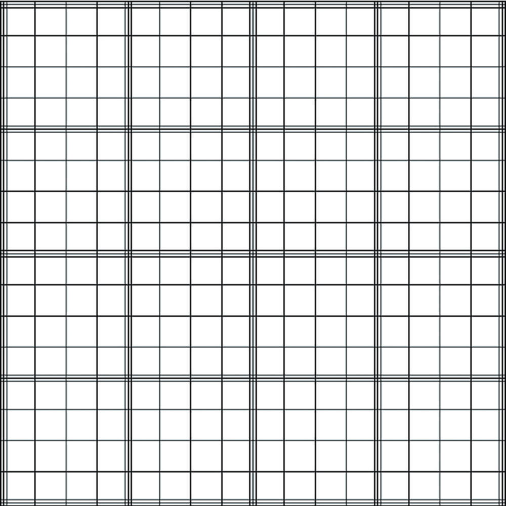 Zählkammer nach Fuchs-Rosenthal