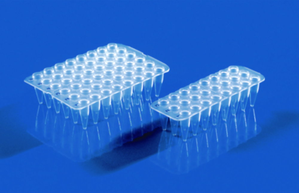 24-/48-well PCR-Platten, ohne Rahmen, PP