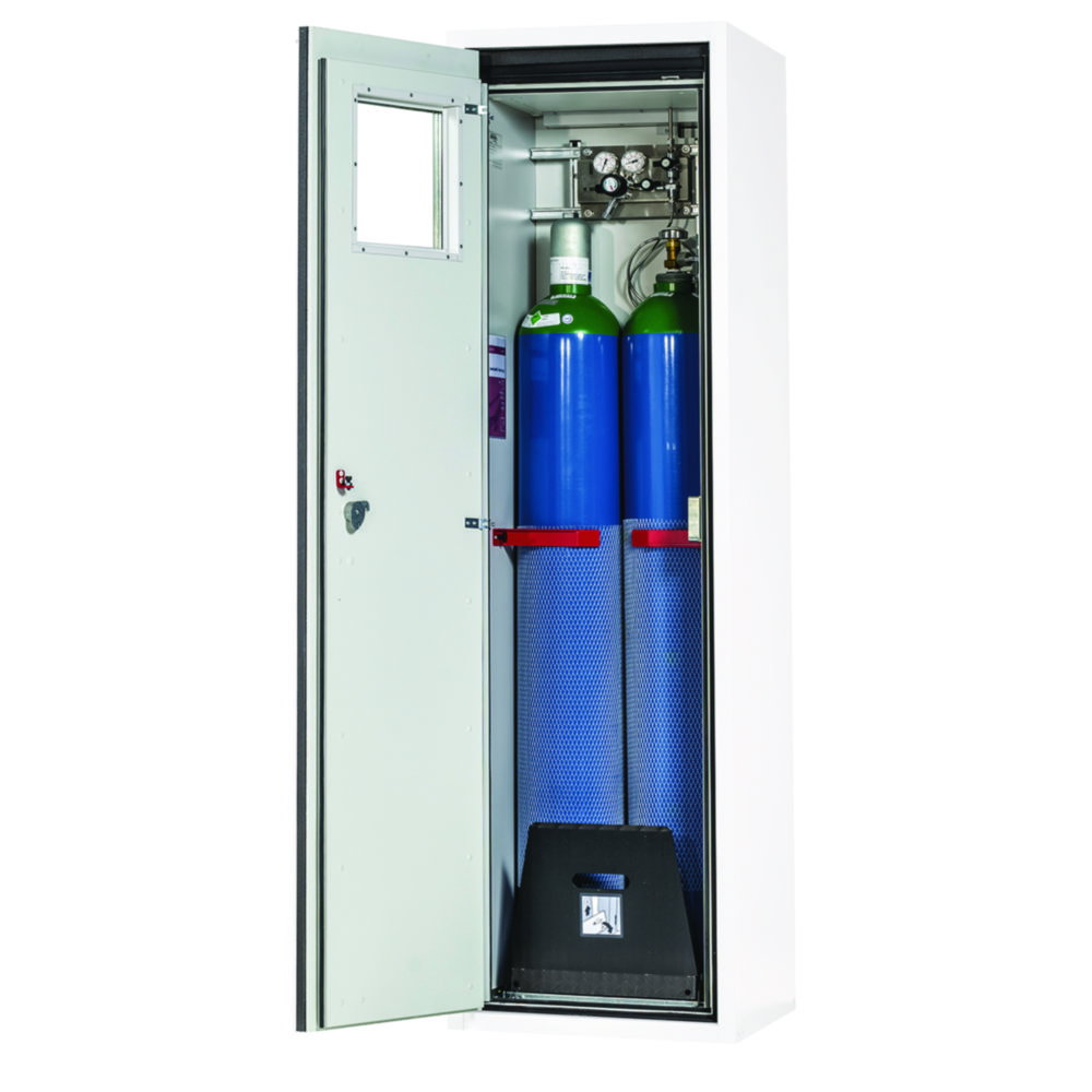 Druckgasflaschenschränke Serie G90 für zwei 50 Liter Flaschen, Flügeltür mit F90-Glasausschnitt