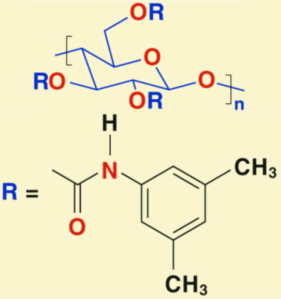 Vorsäule für NUCLEOCEL DELTA, 10 µm