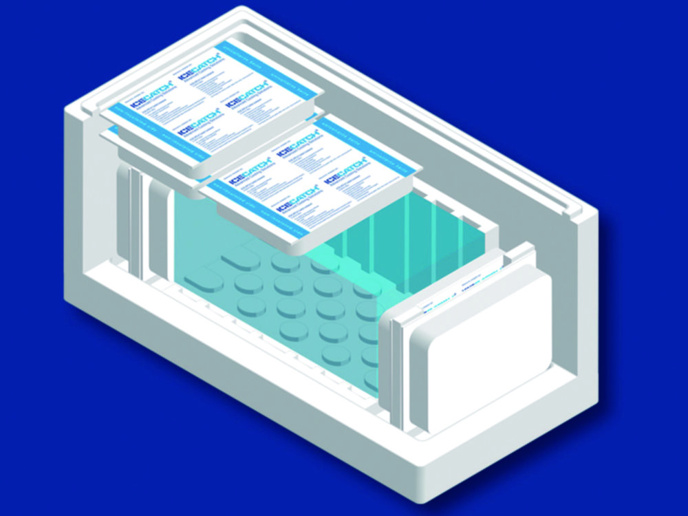 Systemverpackung für Icecatch®-Solid Insulated, EPS