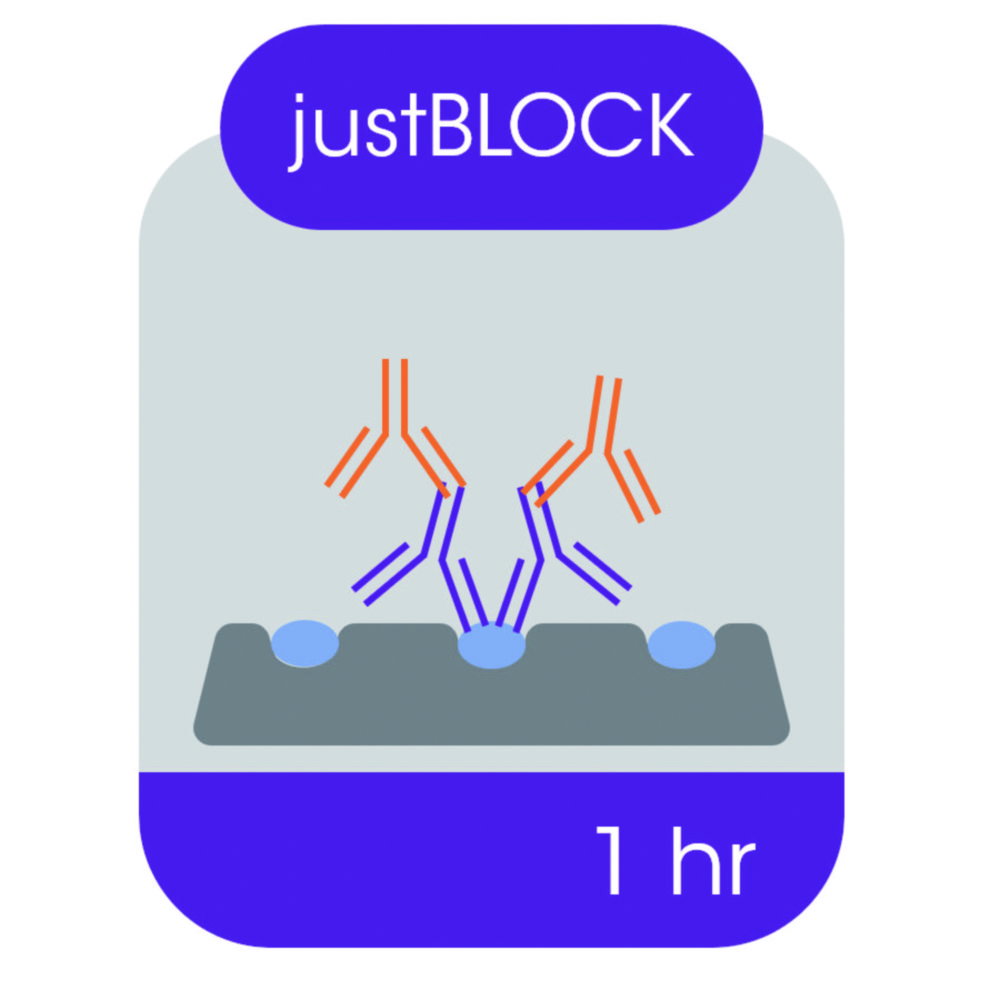 Blockierlösung für Western Blot