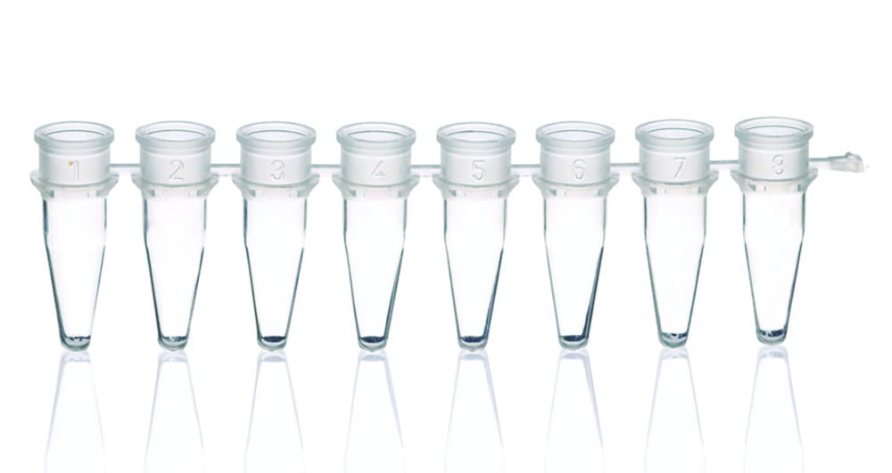 PCR-Gefäße 8er-Strips, PP, ohne Deckel