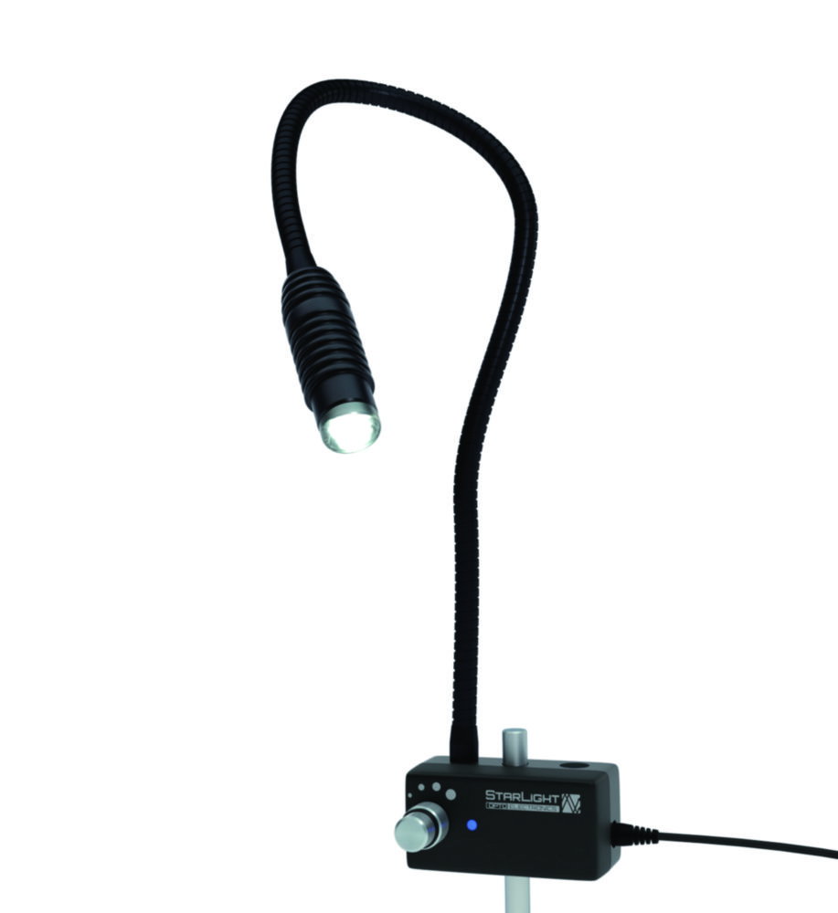 LED-Auflichtleuchten IL1-Lab, 1-armig