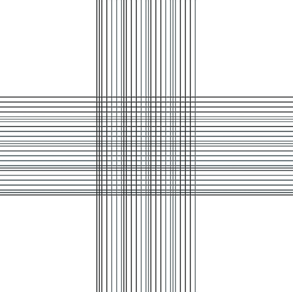 Zählkammer nach Thoma