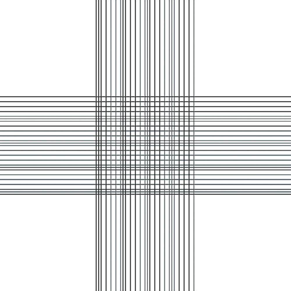 Zählkammer nach Thoma