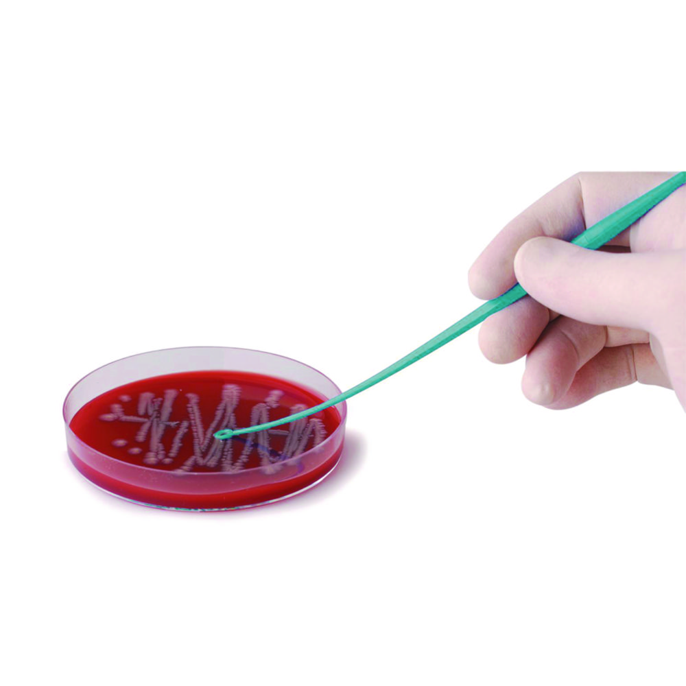 LLG-Impfösen, PS, steril, doppelt, Öse/Nadel