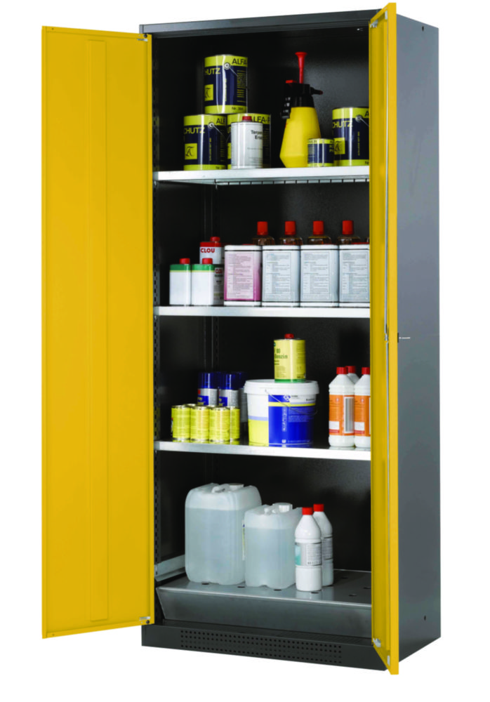 C-Schrank CS-Classic WD Korpus RAL7016, 810x520x1950mm Struktur Tür RAL 1004