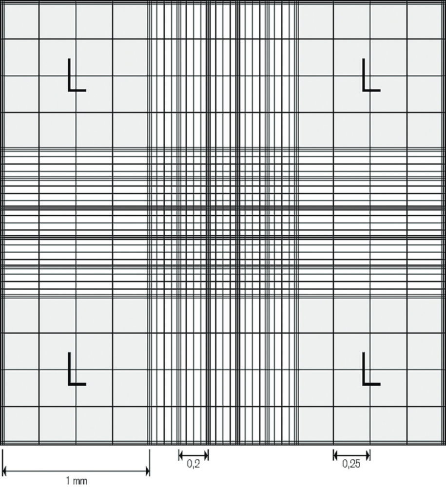 Zählkammer nach Neubauer improved