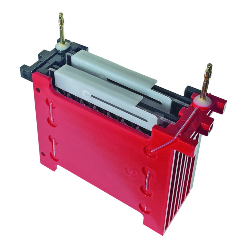 Blotting-System miniBLOT für Elektrophoresekammer proPAGE