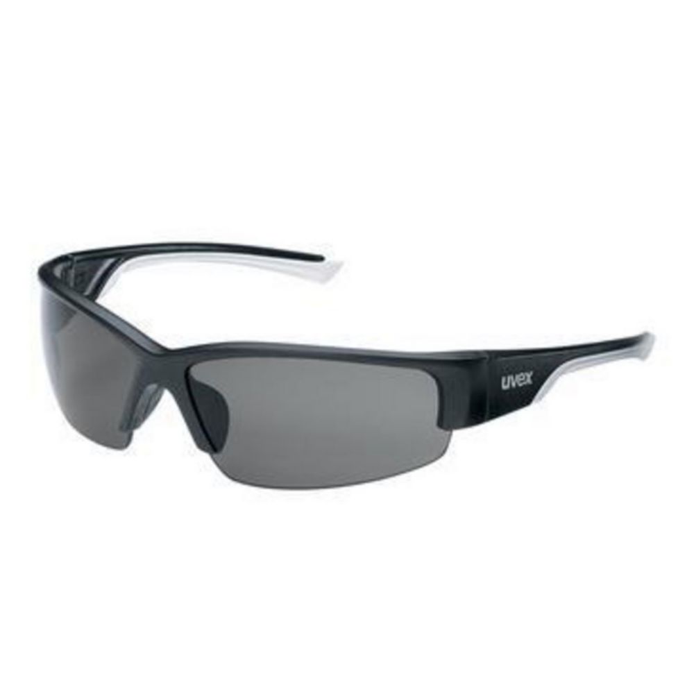 Bügelbrille polavision 9231 Scheibentönung polavision, UV400