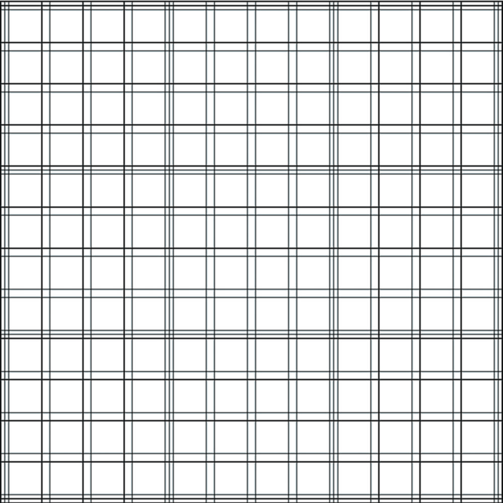 Zählkammer nach Bürker