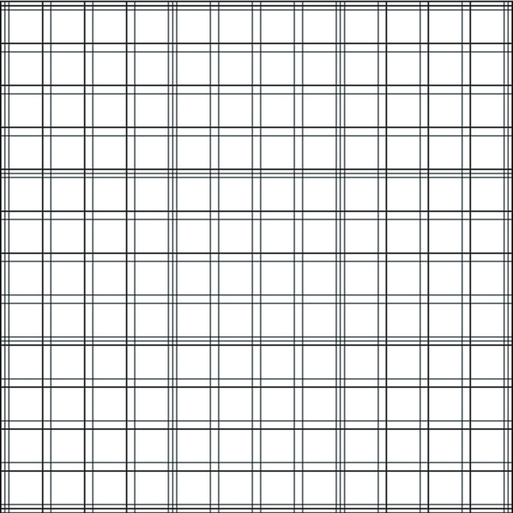 Zählkammer nach Bürker