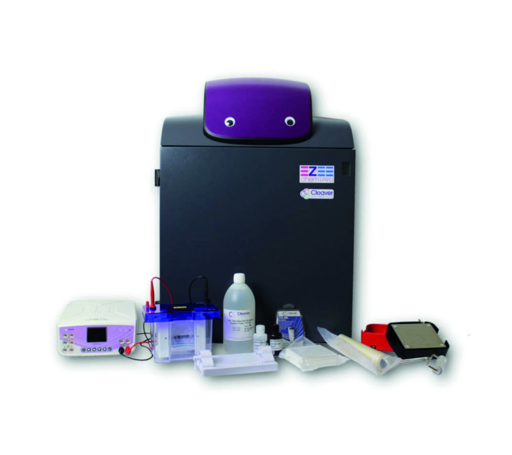 Mini Western Blot Workflow Paket WESTERNFLOWPROMINI