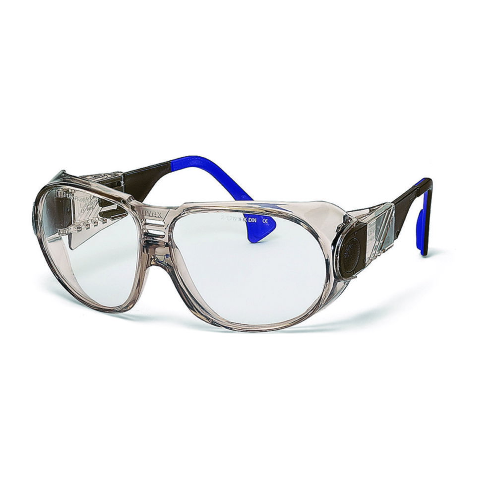 Schutzbrille