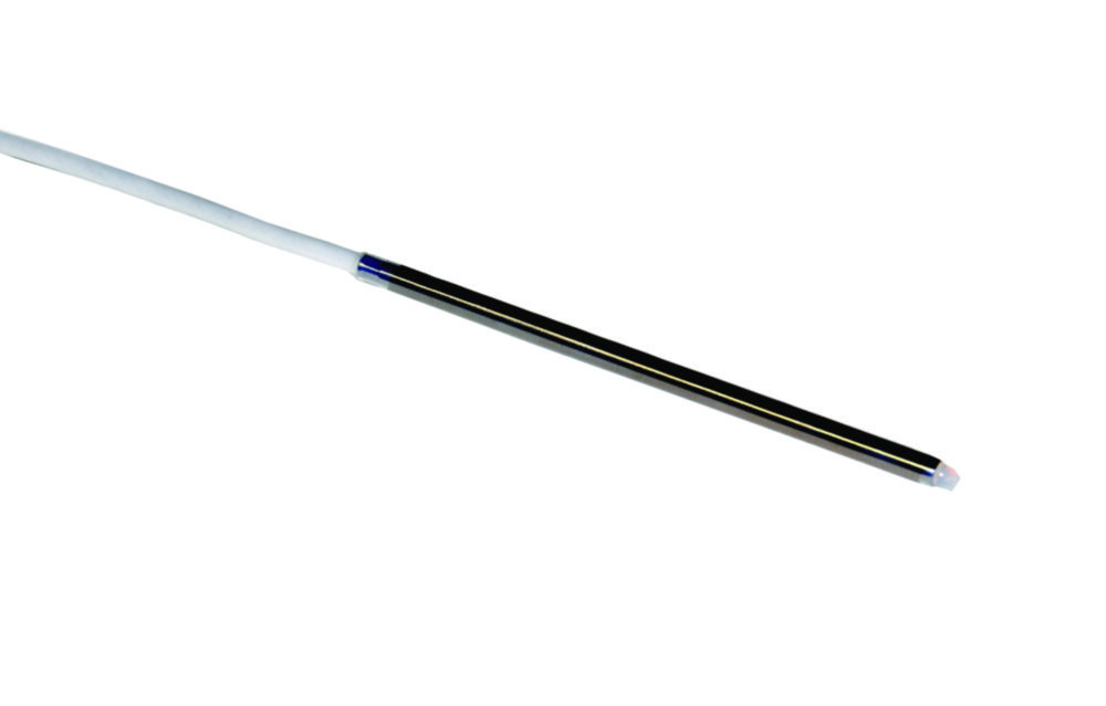 Metallfühler Pt 100 mit PTFE/FEP Ummantelung VA für PHYSICS 100