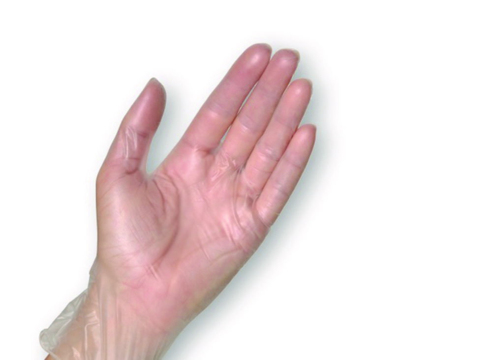Einmalhandschuhe, Semperguard® Vinyl, gepudert | Handschuhgröße: L, Länge: 240 mm, Dicke: 0.08 mm