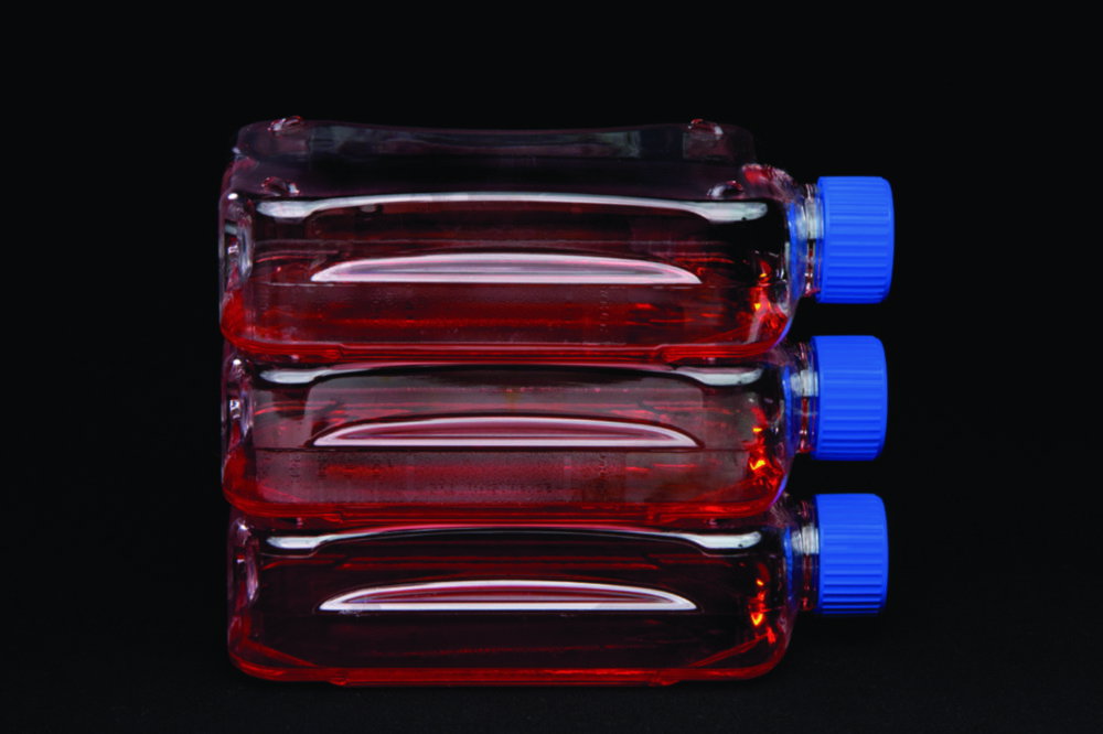 Zellkulturflaschen Nunc™ 300 cm²