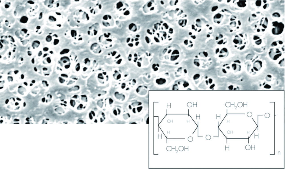 Membranfilter, Regenerierte Cellulose