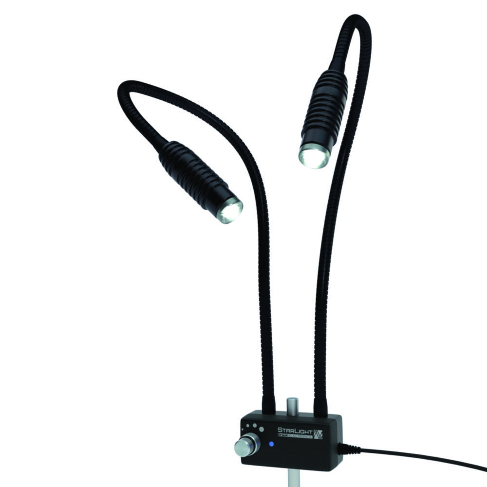 LED-Auflichtleuchten IL1-Lab, 2-armig