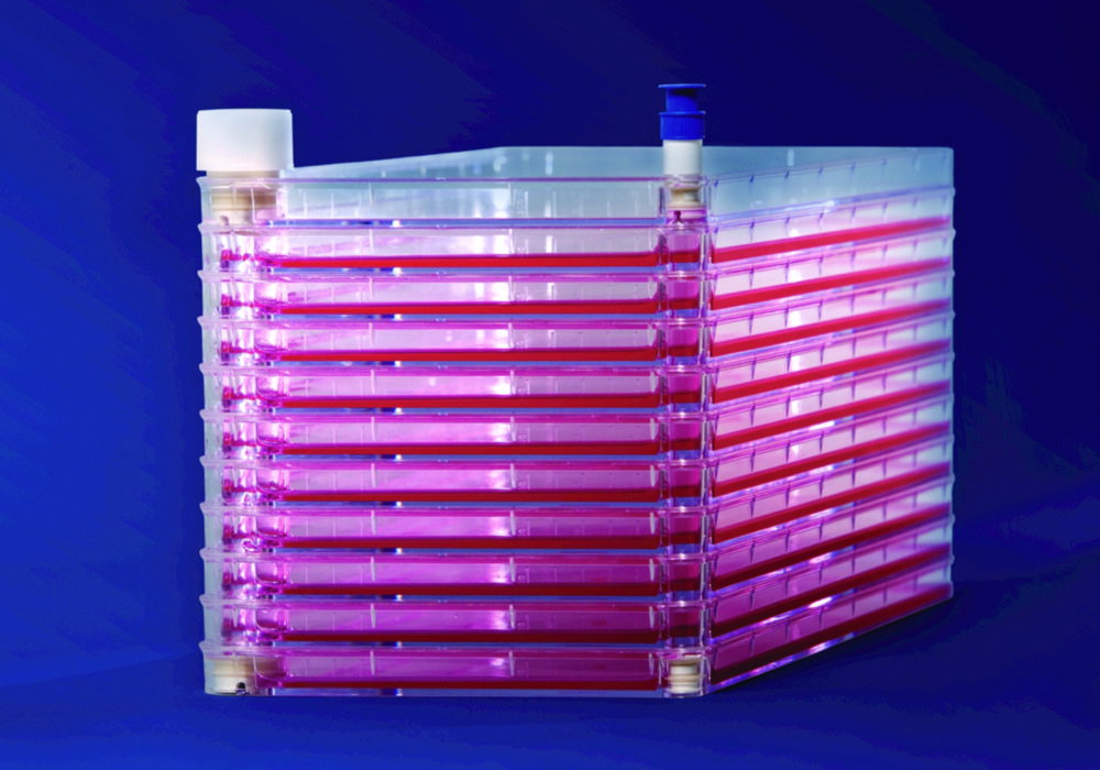 Wannenstapel EasyFill™ mit Nunclon™Δ Oberfläche, PS, steril