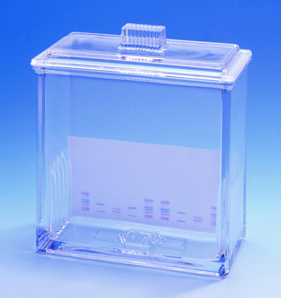 DC-Simultanentwicklungskammer