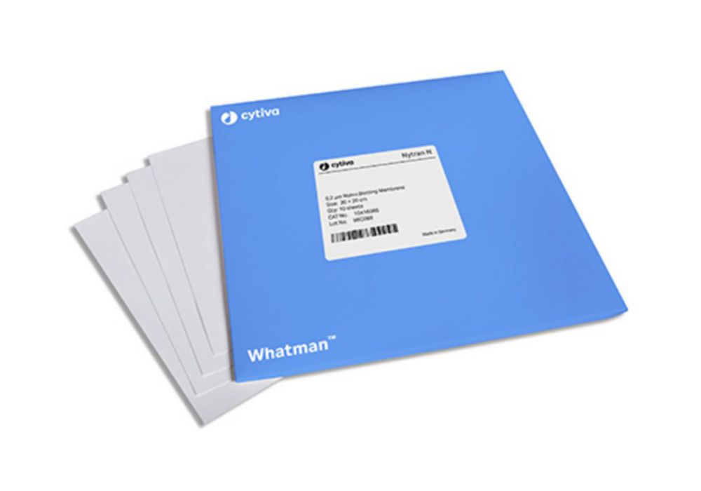 Transfermembran NYTRAN N 300 mm x 3m, amphotere Nylonmembran 0,45 µm