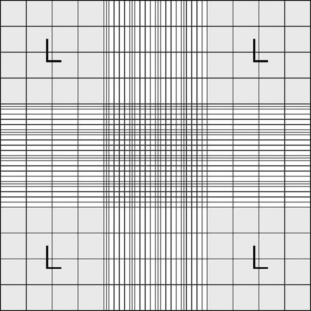Zählkammer nach Neubauer