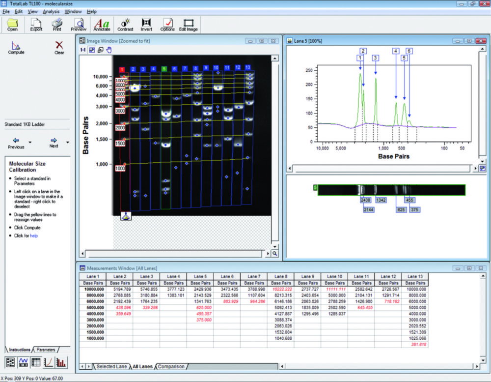 Gel Dokumentationssystem microDOC, mit Analysesoftware TotalLab™ 1D