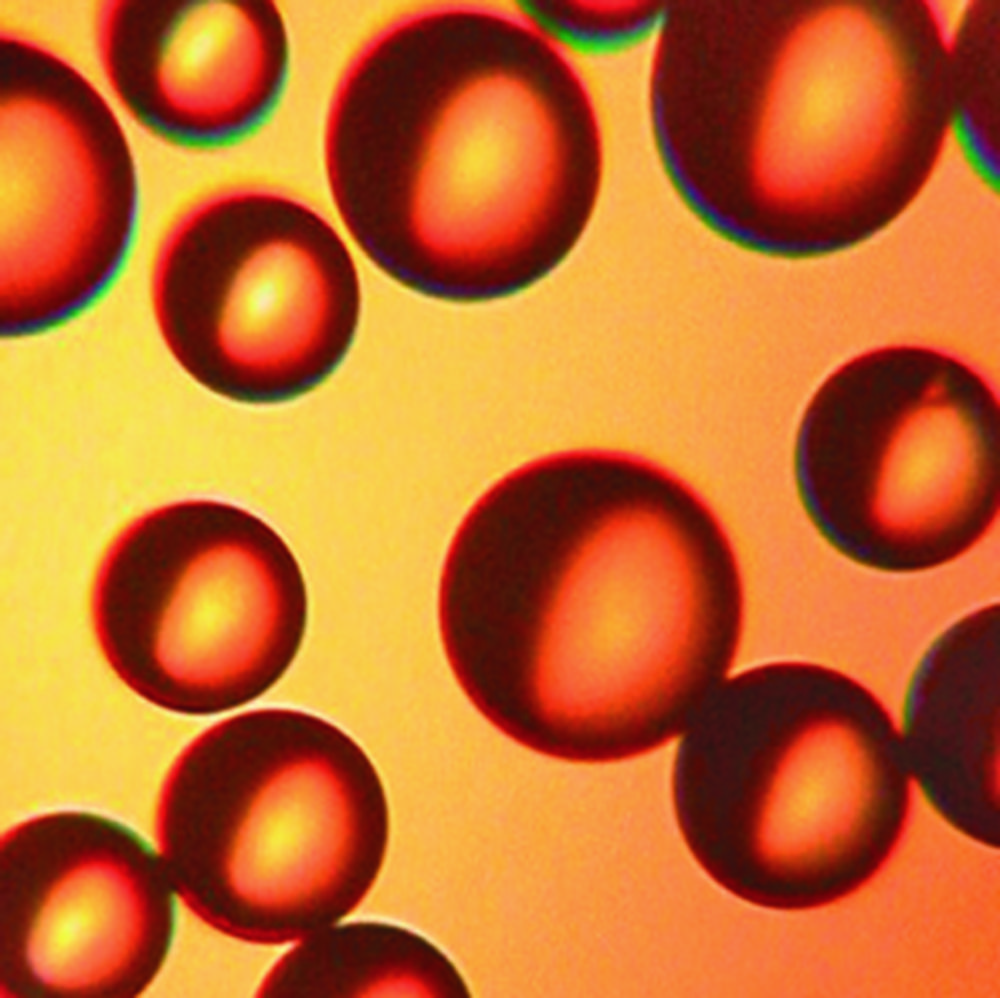 CHROMABOND® PS-OH- / PS-H+