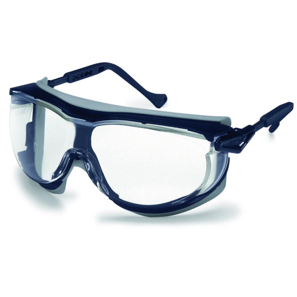 Schutzbrille uvex skyguard NT 9175