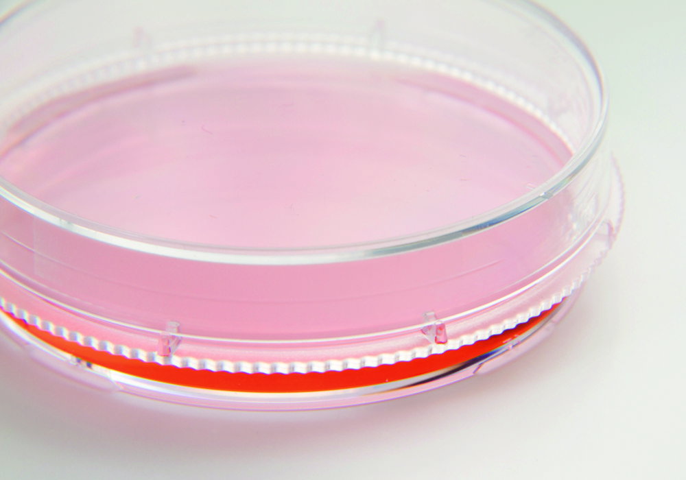 Zell- und Gewebekulturschalen, Nunc™ EasYDish™, PS, steril