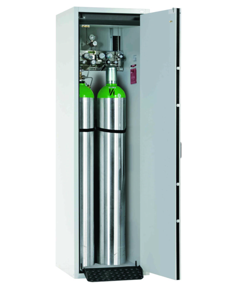 Druckgasflaschenschrank RAL 7035 2050x598x616 mm, DIN RECHTS inkl. Standard-Inneneinrichtung best. aus: