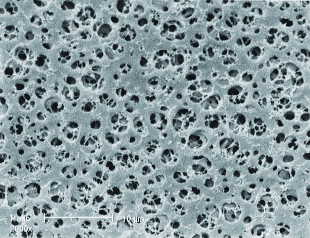 GEL-Blotting-Papiere